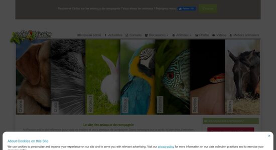 capture écran du site https://www.anipassion.com/